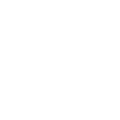 lioness-clothing